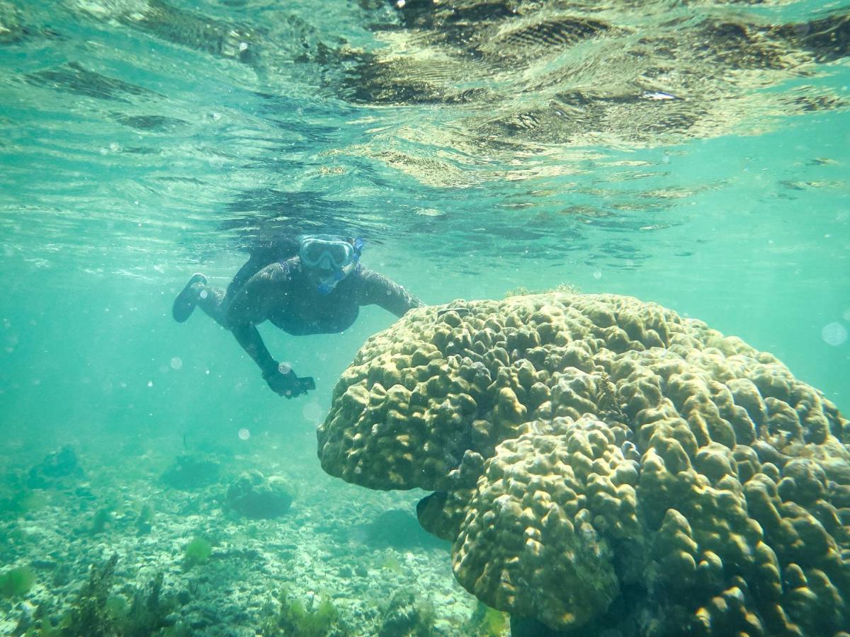 Paka House-Rafiki Village Watamu Dış mekan fotoğraf